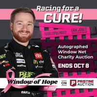 Window of Hope: Tyler Reddick Signed #45 Driver Window Net at PristineAuction.com