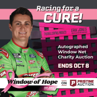 Window of Hope: Zane Smith Signed #38 Driver Window Net at PristineAuction.com