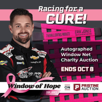 Window of Hope: Ricky Stenhouse Jr Signed #47 Driver Window Net at PristineAuction.com