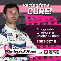 Window of Hope: Daniel Suarez Signed #99 Driver Window Net at PristineAuction.com