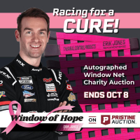 Window of Hope: Cody Ware Signed #51 Driver Window Net at PristineAuction.com