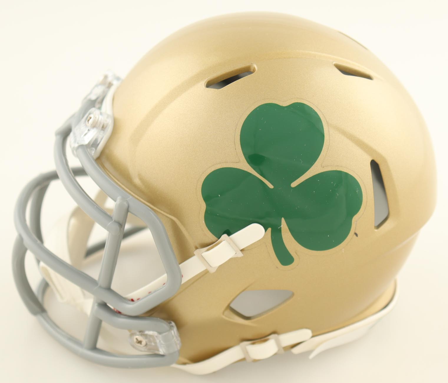 Rudy Ruettiger Signed Notre Dame Fighting Irish Speed Mini Helmet (Beckett) at PristineAuction.com Rudy Ruettiger Signed Notre Dame Fighting Irish Speed Mini Helmet (Beckett) at PristineAuction.com