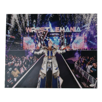 Cody Rhodes Signed WWE 16x20 Photo (JSA) at PristineAuction.com