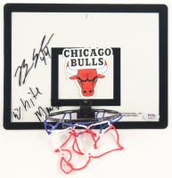 Brian Scalabrine Signed Bulls Basketball Hoop Mini Backboard Inscribed "White Mamba" (PSA) at PristineAuction.com