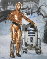 Anthony Daniels Signed "Star Wars" 16x20 Photo Inscribed "C-3PO" (Beckett) at PristineAuction.com