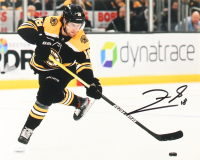 Pavel Zacha Signed Bruins 8x10 Photo (JSA) at PristineAuction.com
