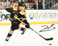 Pavel Zacha Signed Bruins 8x10 Photo (JSA) at PristineAuction.com