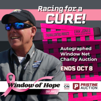Window of Hope: Ron Hornaday Jr. Signed Driver Window Net at PristineAuction.com
