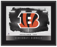 Bengals Team Logo Framed Plaque at PristineAuction.com