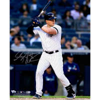 Luke Voit Signed Yankees 16x20 Photo (Fanatics) at PristineAuction.com