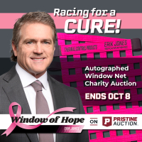 Window of Hope: Bobby Labonte Signed Driver Window Net at PristineAuction.com