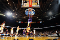 Deandre Ayton Signed Suns LE 16x24 Photo (Game Day Legends & Steiner) at PristineAuction.com