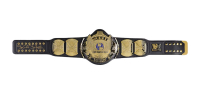 "Stone Cold" Steve Austin Signed WWE Winged Eagle Championship Belt (Fanatics) at PristineAuction.com