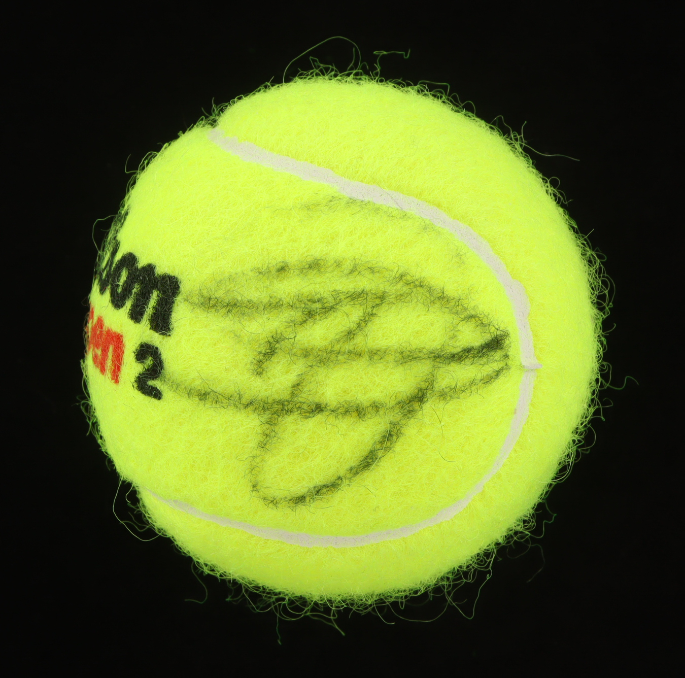 Novak Djokovic Signed Tennis Ball (PSA) at PristineAuction.com Novak Djokovic Signed Tennis Ball (PSA) at PristineAuction.com