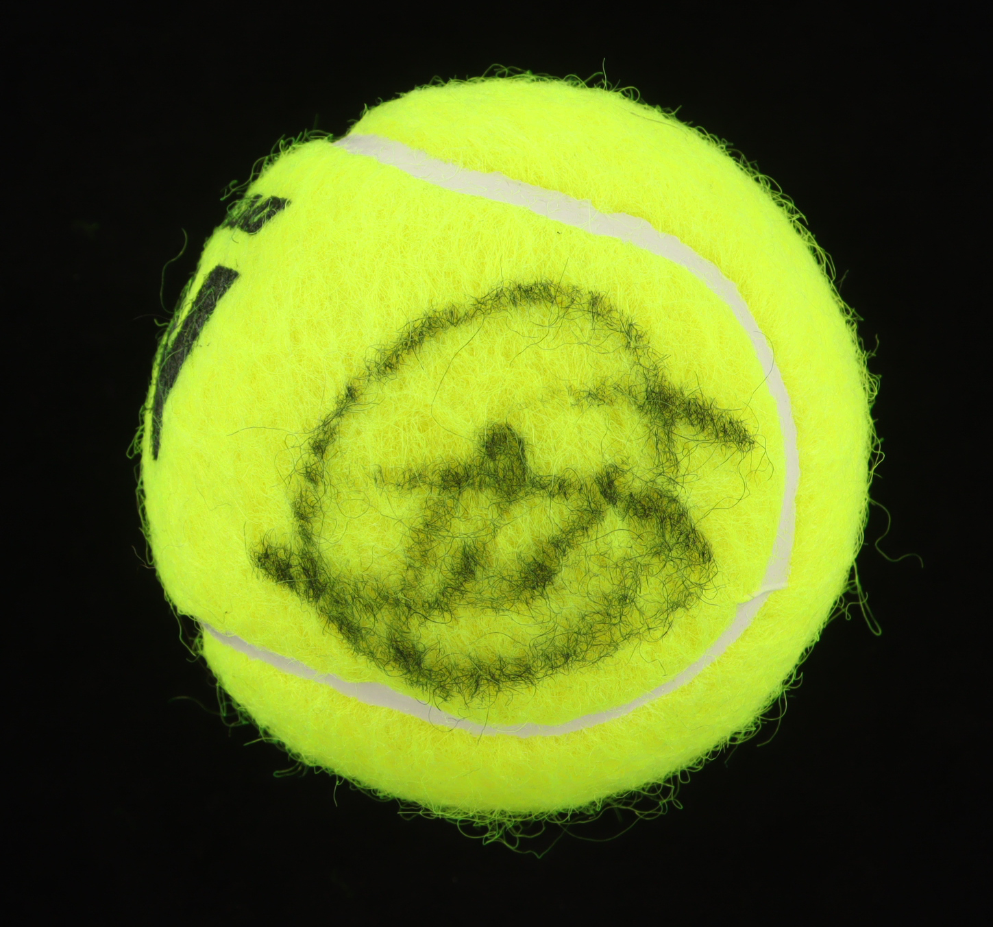 Novak Djokovic Signed Tennis Ball (JSA) at PristineAuction.com Novak Djokovic Signed Tennis Ball (JSA) at PristineAuction.com