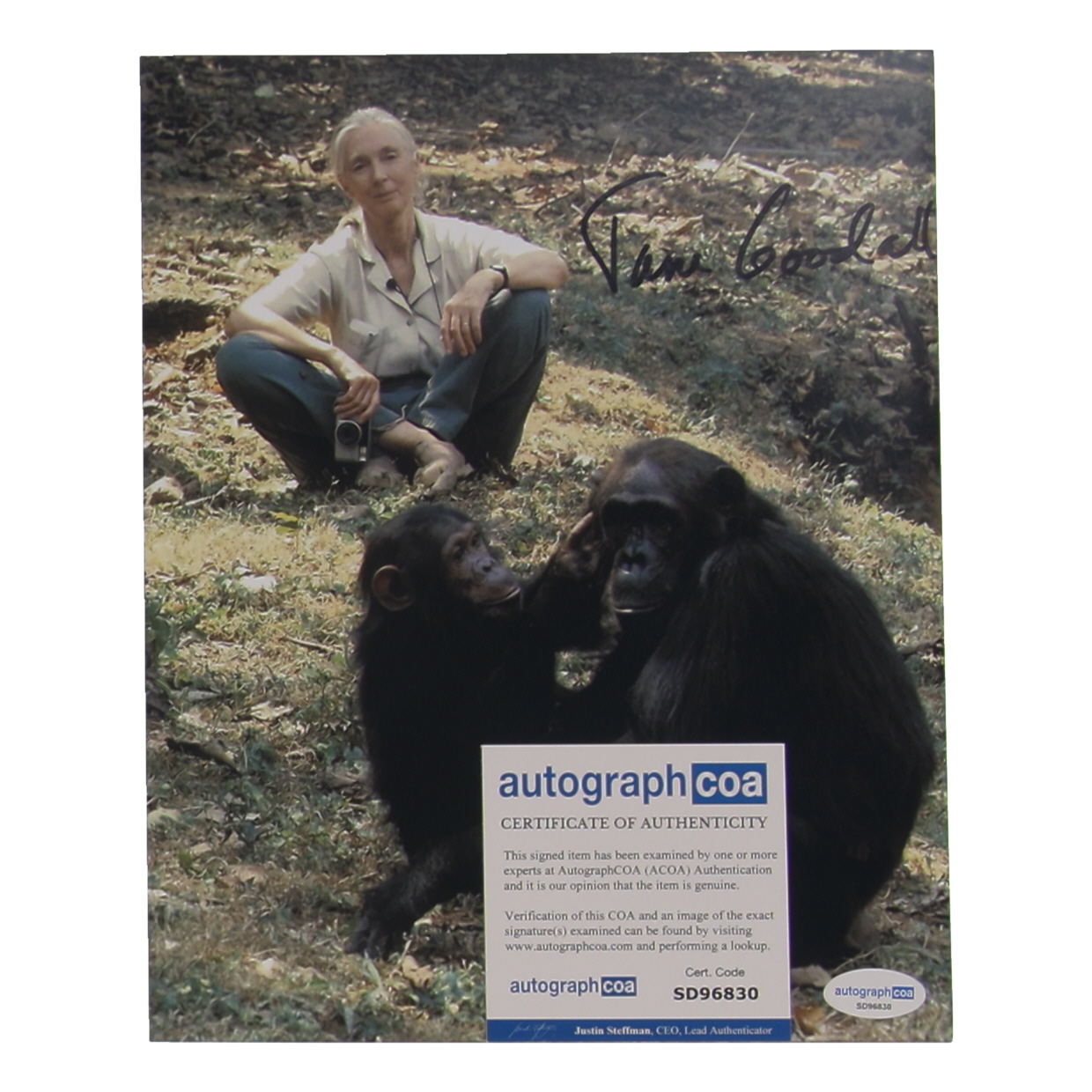 Jane Goodall Signed 8x10 Photo (ACOA) at PristineAuction.com Jane Goodall Signed 8x10 Photo (ACOA) at PristineAuction.com