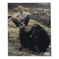 Jane Goodall Signed 8x10 Photo (ACOA) at PristineAuction.com