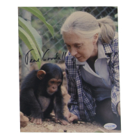 Jane Goodall Signed 8x10 Photo (ACOA) at PristineAuction.com