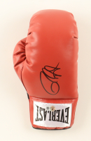 Roy Jones Jr. Signed Everlast Boxing Glove (Beckett) at PristineAuction.com