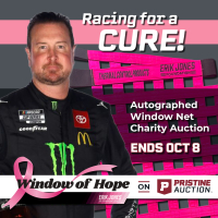 Window of Hope: Kurt Busch Signed Driver Window Net at PristineAuction.com