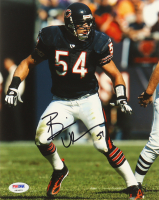 Brian Urlacher Signed Bears 8x10 Photo (PSA) at PristineAuction.com