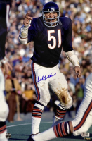 Dick Butkus Signed Bears 11x17 Photo (Beckett) at PristineAuction.com