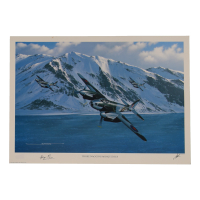 George Parry Signed 'Those Nagging Mosquitoes' 11.5x16 Lithograph (AIV) at PristineAuction.com