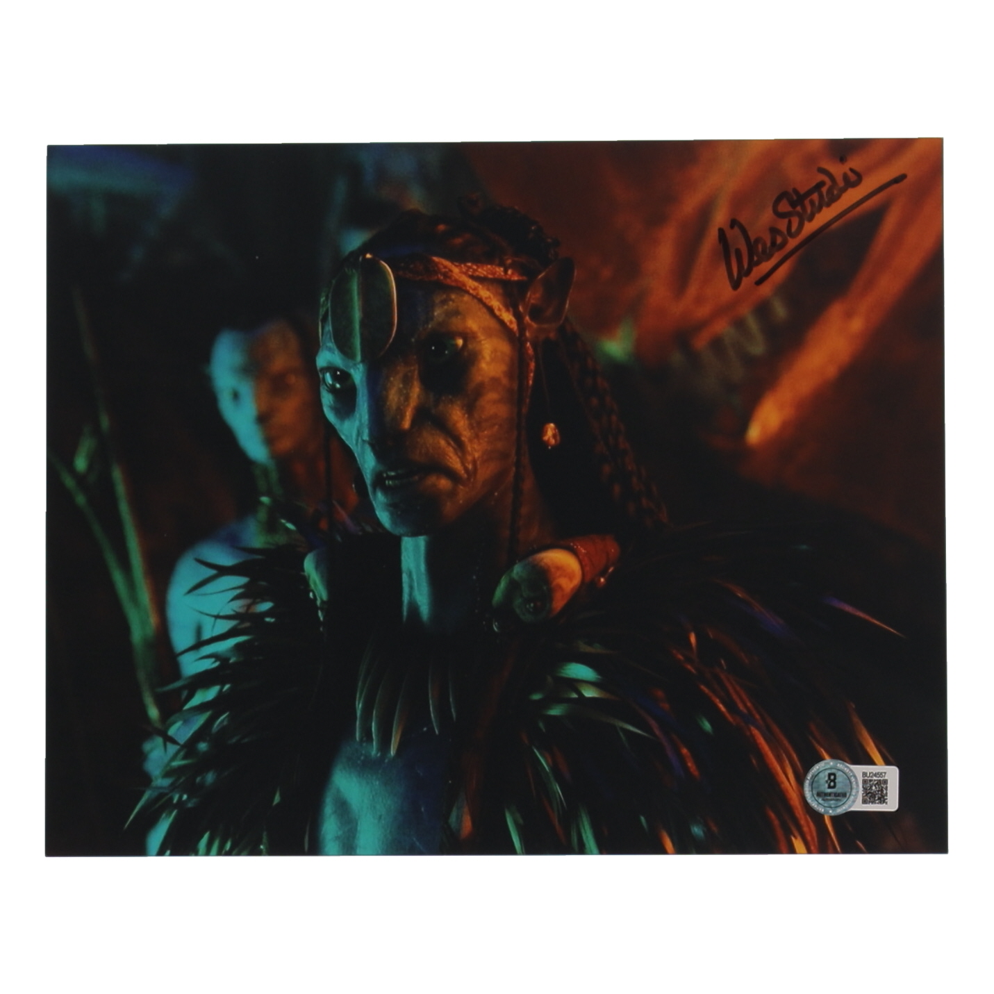 Wes Studi Signed "Avatar" 8x10 Photo (Beckett) at PristineAuction.com Wes Studi Signed "Avatar" 8x10 Photo (Beckett) at PristineAuction.com