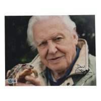 David Attenborough Signed 8x10 Photo (Beckett) at PristineAuction.com