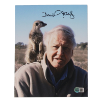 David Attenborough Signed 8x10 Photo (Beckett) at PristineAuction.com