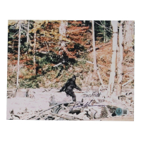 Bob Heironimus Signed 8x10 Photo Inscribed "Bigfoot" (Beckett) at PristineAuction.com