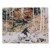 Bob Heironimus Signed 8x10 Photo Inscribed "Bigfoot" (Beckett) at PristineAuction.com