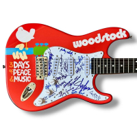 "Woodstock Festival" Custom Stratocaster Electric Guitar Signed By (16) with Sly Stone, Tom Constanten, Billy Cox, Edgar Winter (JSA & PSA) at PristineAuction.com
