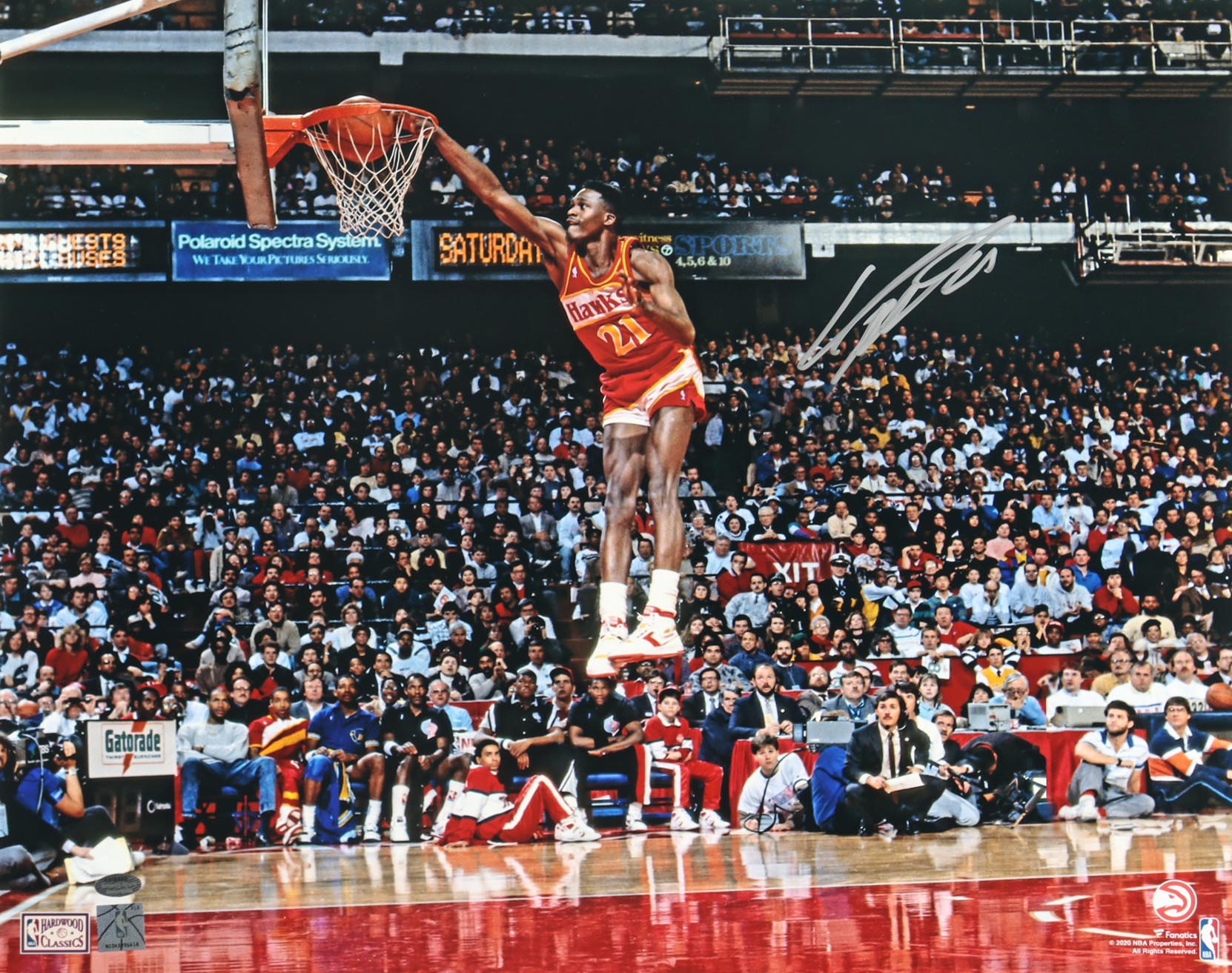 Dominique Wilkins Signed Hawks 16x20 Photo (Schwartz) at PristineAuction.com Dominique Wilkins Signed Hawks 16x20 Photo (Schwartz) at PristineAuction.com