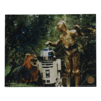 Warwick Davis Signed "Star Wars" 8x10 Photo Inscribed "Wicket," "May The Force Be With You!" & "The Warwick Davis Collection" (Signature Shop) at PristineAuction.com