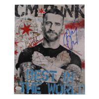 CM Punk Signed WWE 11x14 Photo (JSA) at PristineAuction.com