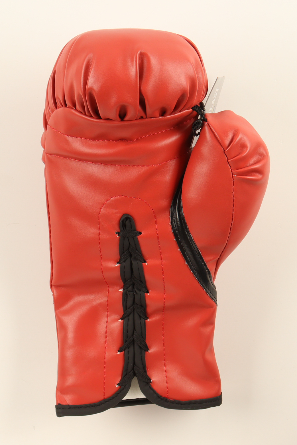 Mike Tyson Signed Everlast Boxing Glove (JSA) at PristineAuction.com Mike Tyson Signed Everlast Boxing Glove (JSA) at PristineAuction.com