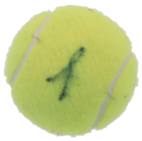 Jannik Sinner Signed Tennis Ball (JSA) at PristineAuction.com