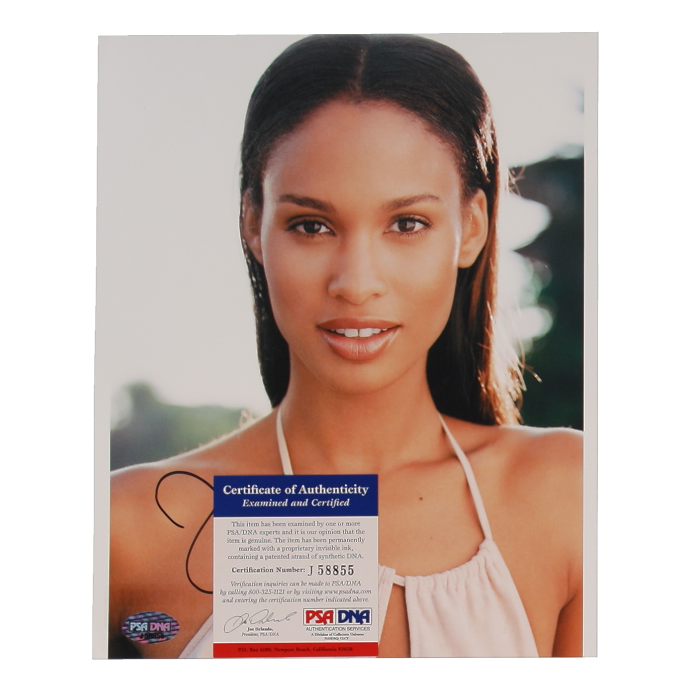 Joy Bryant Signed 8x10 Photo (PSA) at PristineAuction.com Joy Bryant Signed 8x10 Photo (PSA) at PristineAuction.com