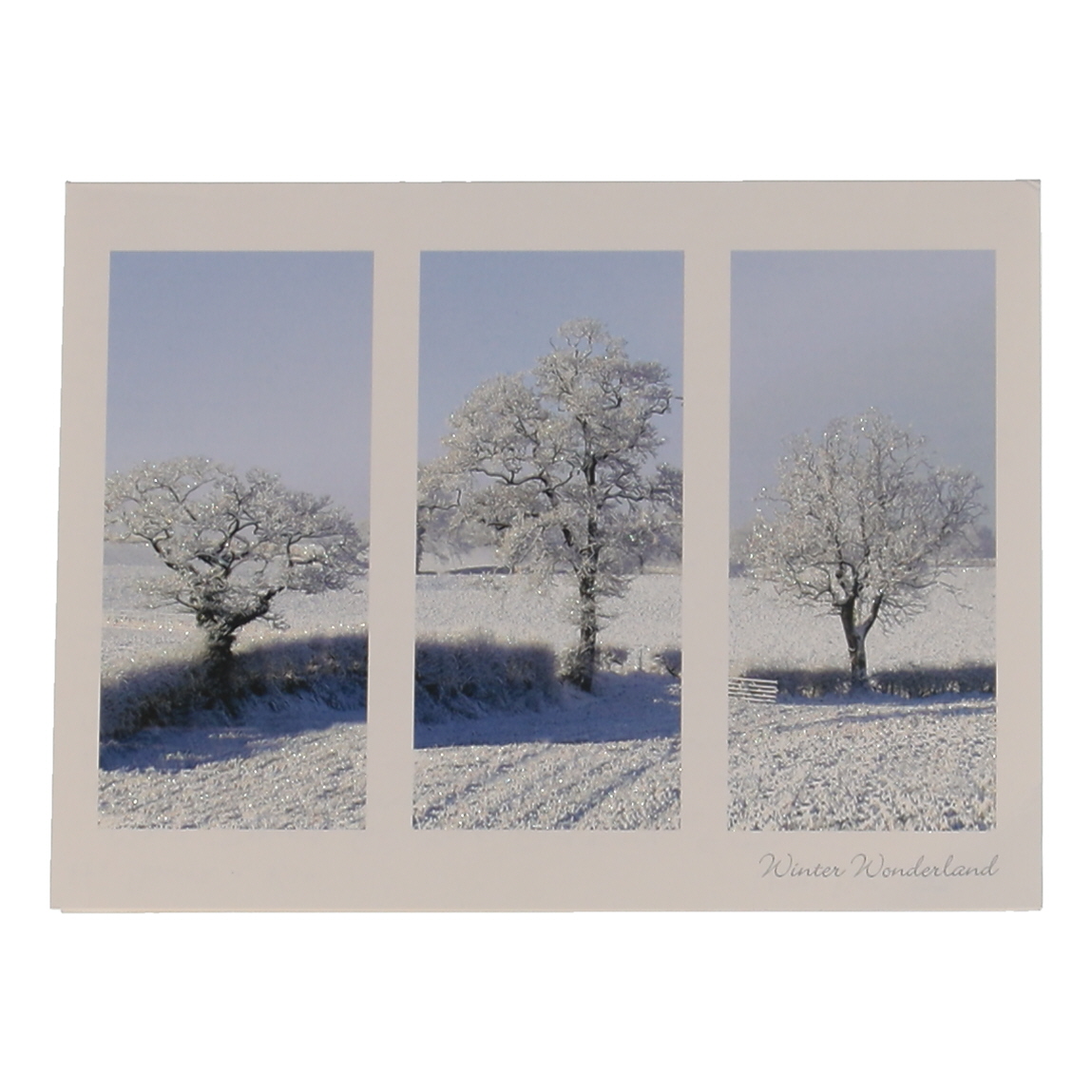 David Prowse Signed 8x10 Hand-Written Letter (PSA) at PristineAuction.com David Prowse Signed 8x10 Hand-Written Letter (PSA) at PristineAuction.com