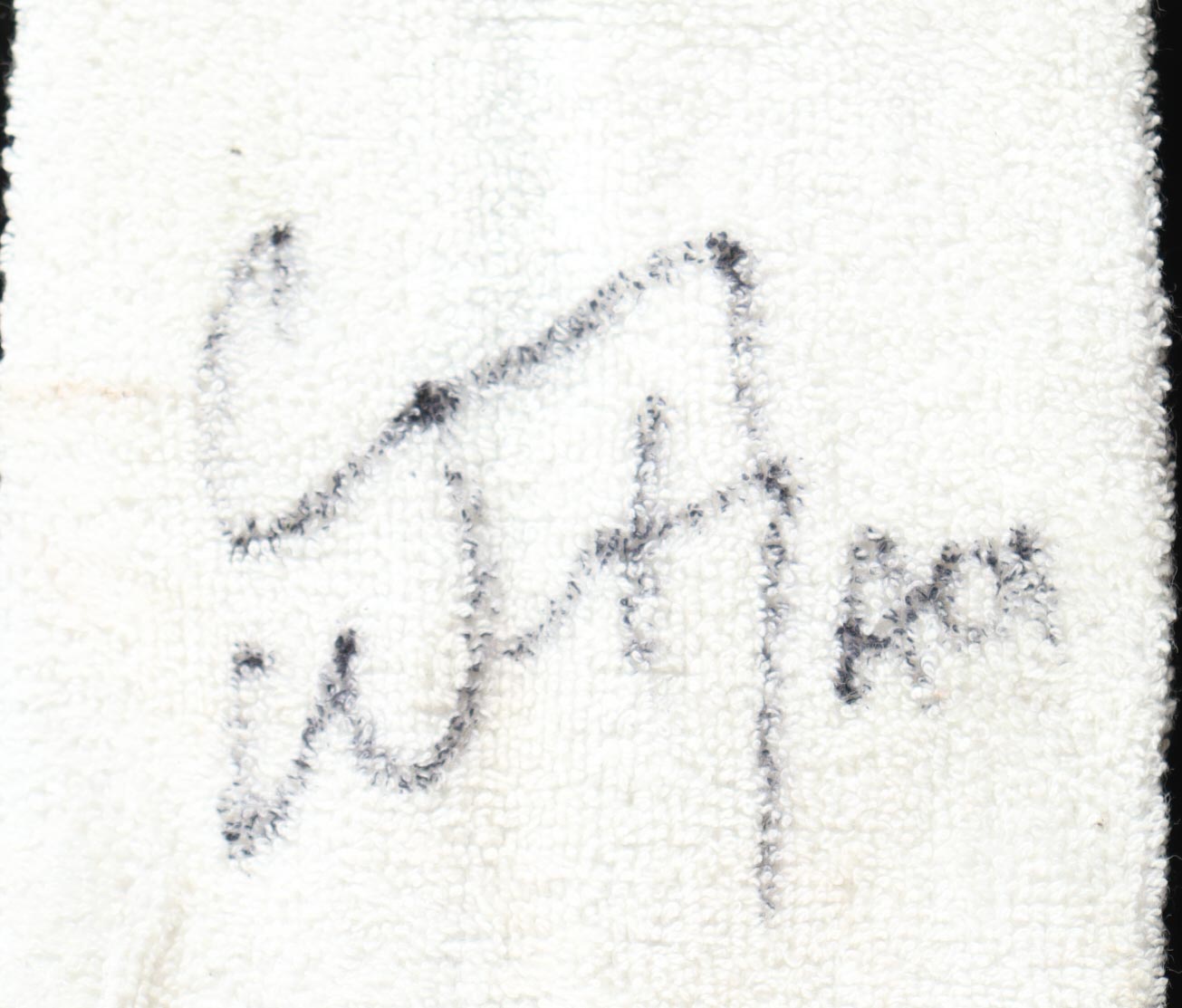 Carson Wentz Signed & Game-Used 2019 NFL QB Towel Inscribed "AO1" (Fanatics) at PristineAuction.com Carson Wentz Signed & Game-Used 2019 NFL QB Towel Inscribed "AO1" (Fanatics) at PristineAuction.com
