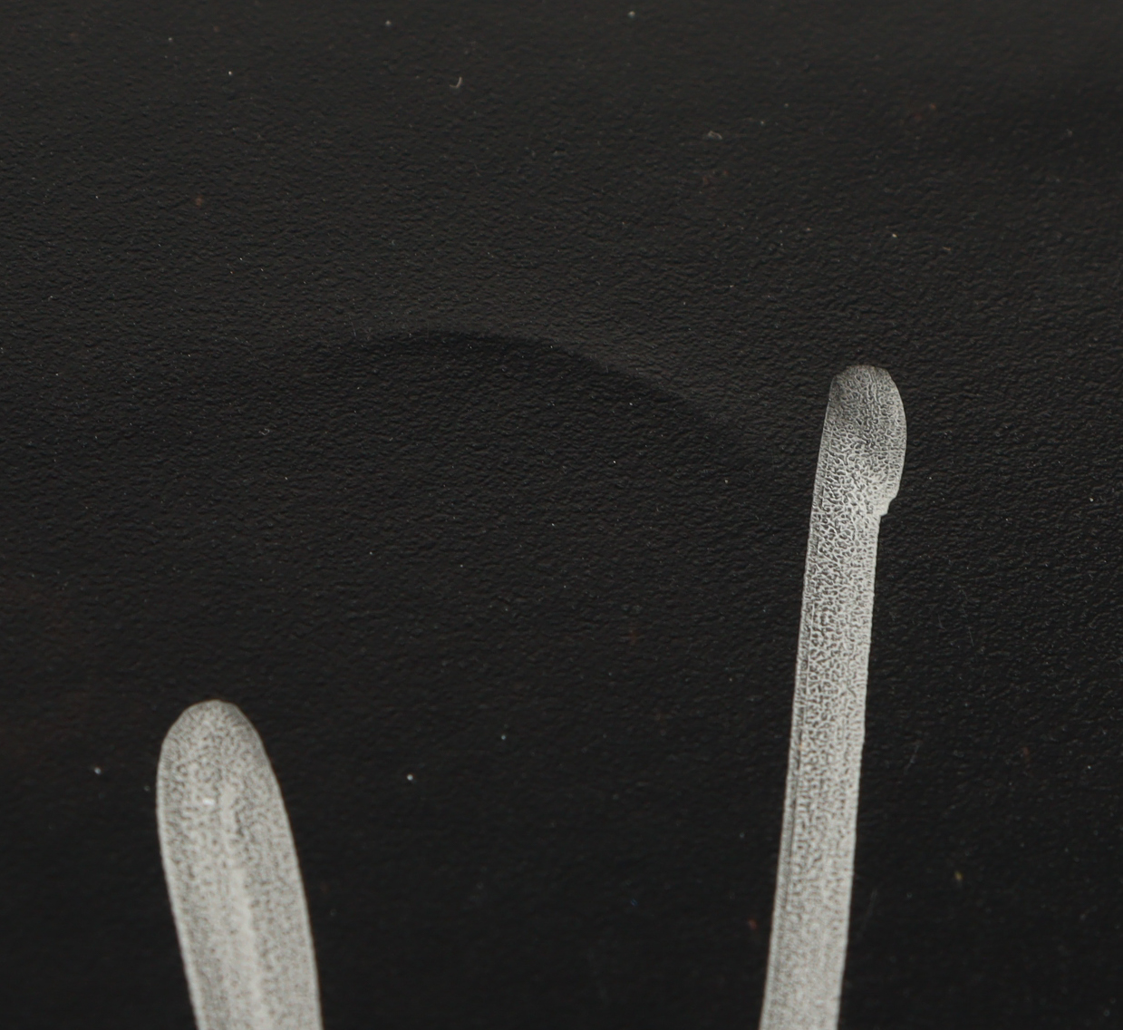 Neal Broten Signed Minnesota Golden Gophers 8x10 Photo (JSA) at PristineAuction.com Neal Broten Signed Minnesota Golden Gophers 8x10 Photo (JSA) at PristineAuction.com