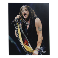 Steven Tyler Signed 11x14 Photo (Beckett) at PristineAuction.com