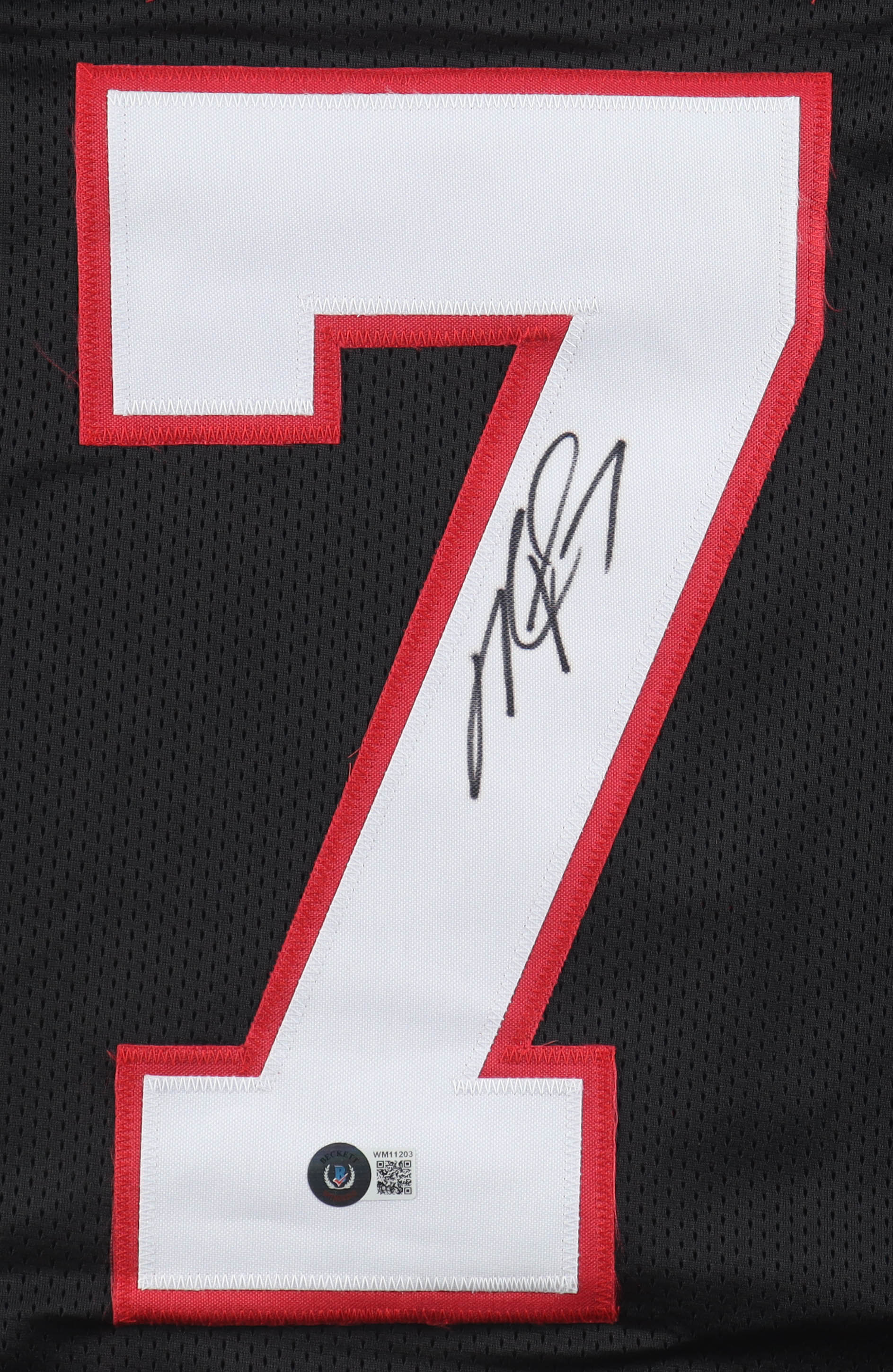 Michael Vick Signed Jersey (Beckett) at PristineAuction.com Michael Vick Signed Jersey (Beckett) at PristineAuction.com