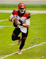 Joe Burrow Signed Bengals 16x20 Photo (Fanatics) at PristineAuction.com