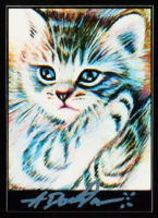 Kitten | Anthony Douglas 1/1 Original Art Card at PristineAuction.com