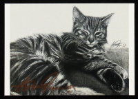 One-Eyed Cat | Anthony Douglas 1/1 Original Art Card at PristineAuction.com