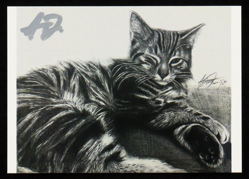 One-Eyed Cat | Anthony Douglas 1/1 Original Art Card at PristineAuction.com One-Eyed Cat | Anthony Douglas 1/1 Original Art Card at PristineAuction.com