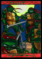 Teenage Mutant Ninja Turtles | Anthony Douglas 1/1 Original Art Card at PristineAuction.com