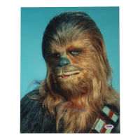 Peter Mayhew Signed "Star Wars" 11x14 Photo (PSA) at PristineAuction.com
